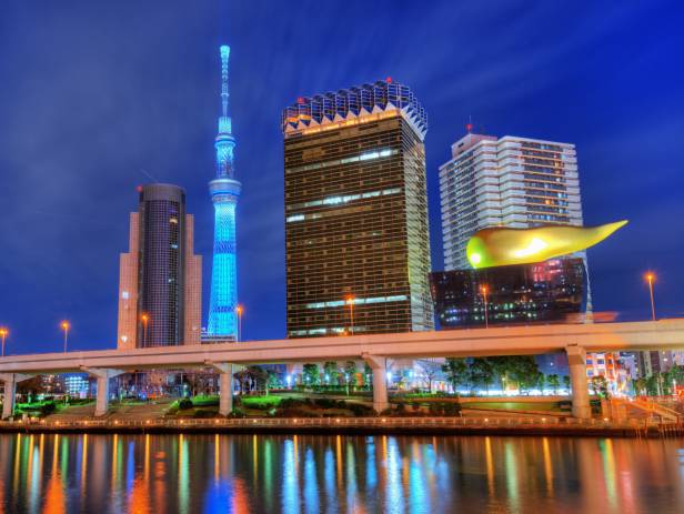 Rainbow Bridge, stretching across the water in Tokyo, lit up at night