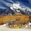 Tores del Paine Highlight