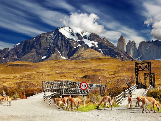 Tores del Paine Highlight