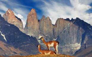 Torres del Paine National Park Chile