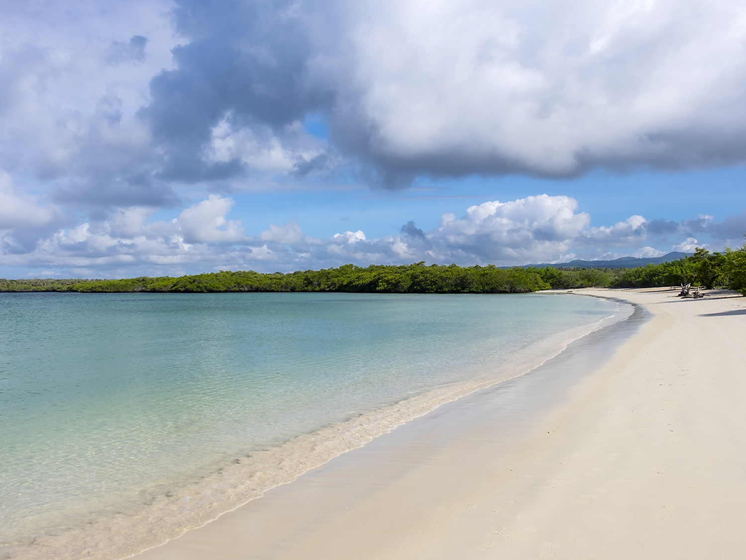 Day 5 - Santa Cruz to Baltra Island