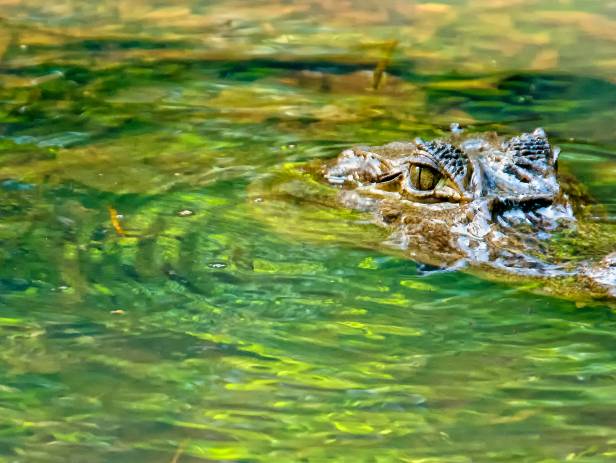 San Jose Highlight - Web Ready