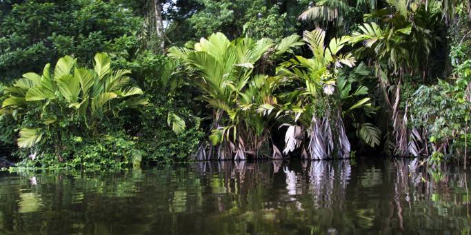 Tortoguero National Park | Costa Rica | On the Go