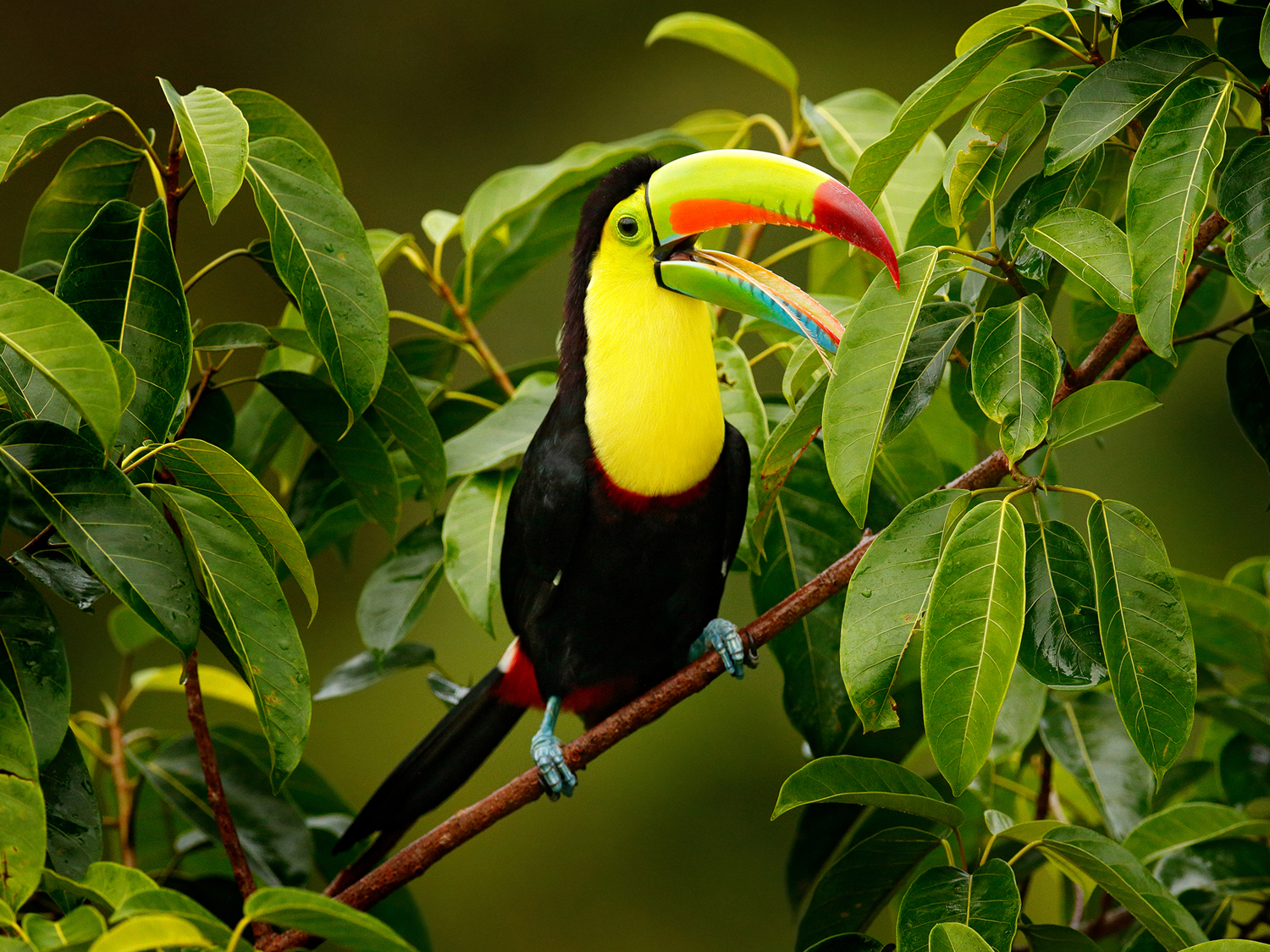 Landscapes of Costa Rica - 10 days