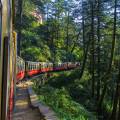 Houses in the side of the cliff in Shimla