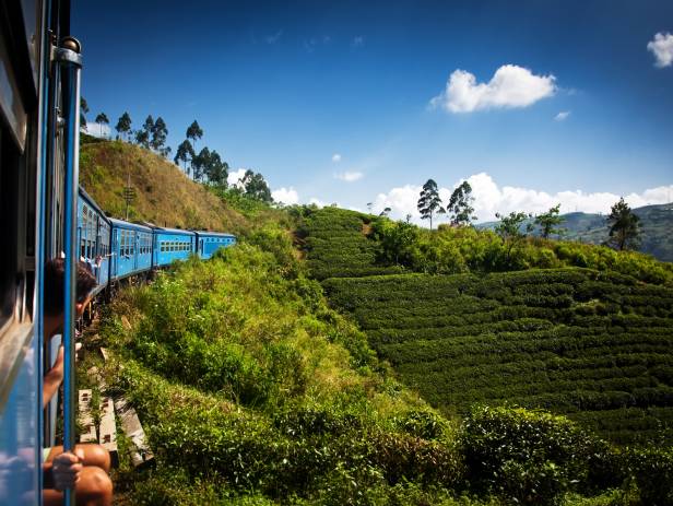 The rolling tea plantation hills of Nuwara Eliya