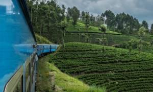 Train in Nuwara Eliya