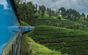 Train in Nuwara Eliya