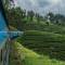 Train to Nuwara Eliya | Sri Lanka