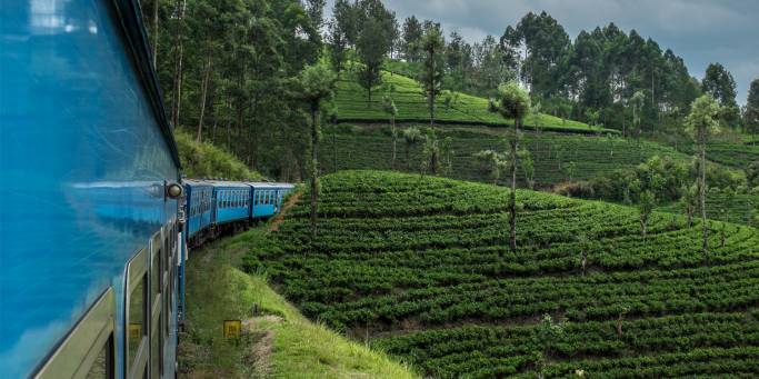 Train to Nuwara Eliya | Sri Lanka