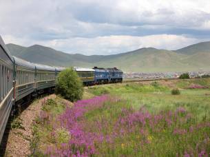 Train in countryside - Trans-siberian Railway Journeys - On The Go Tours