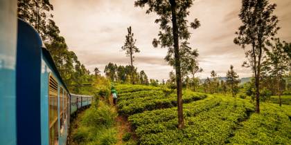 Train in hill country - best time to visit Sri Lanka - On The Go Tours