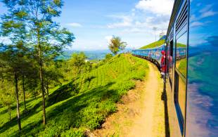 Train through Nuwara Eliya tea plantations - Sri Lanka Tours - On The Go Tours