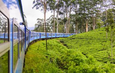 A local train winds its way through the verdant landscapes of Nuwara Eliya in Sri Lanka