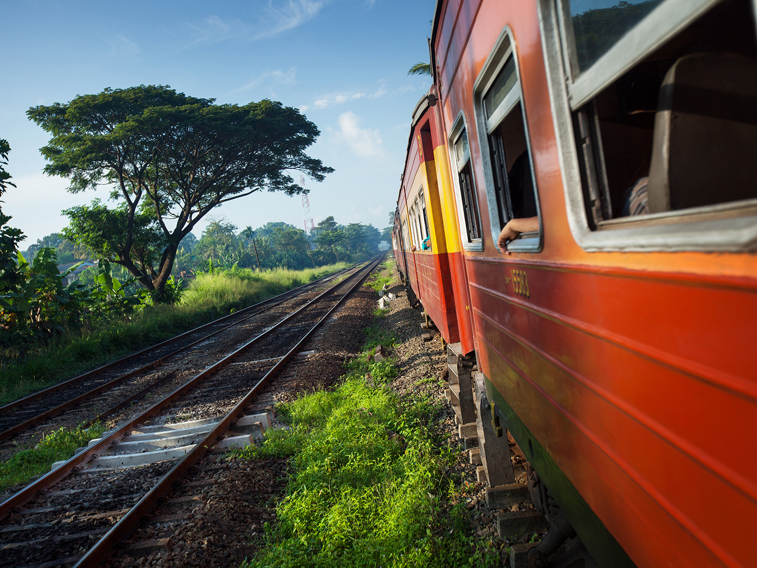 Day 6 - Scenic Train to Ella