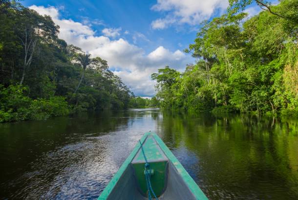 amazon rainforest trip cost