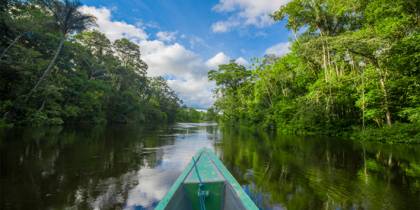 Travelling by boat into the depth of Amazon Jungles in Cuyabeno National Park, Ecuador