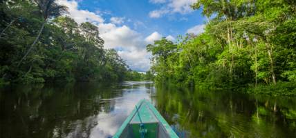 Travelling by boat into the depth of Amazon Jungles in Cuyabeno National Park, Ecuador