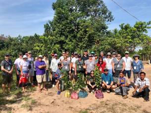 Tree planting 1