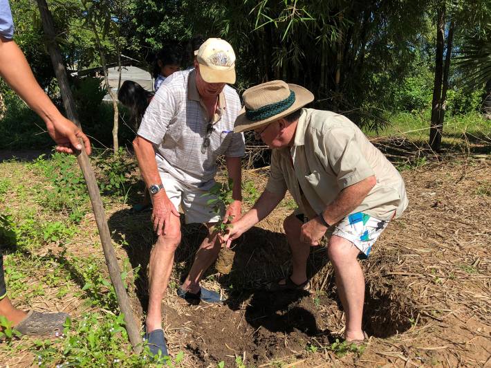 Tree planting 2