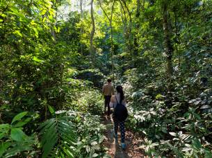 Trekking on Cat Ba Island - On the Go Tours