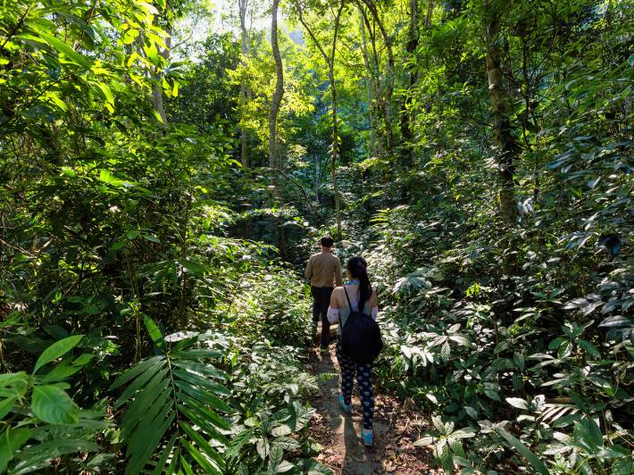 Trekking on Cat Ba Island - On the Go Tours