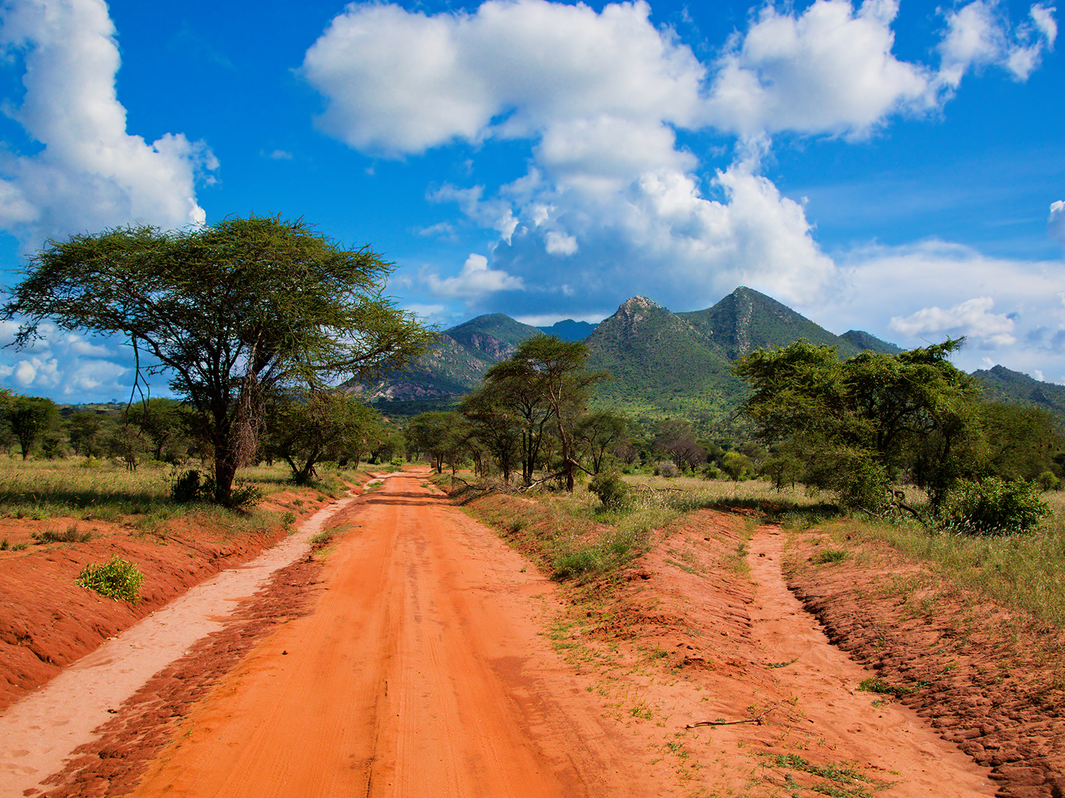 Day 3 - Tsavo National Park
