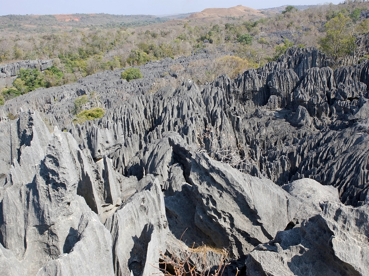 Day 5 - Tsingy de Bemaraha National Park