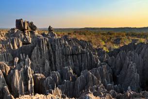 Tsingy de Bemaraha National Park in Madagascar - On The Go Tours