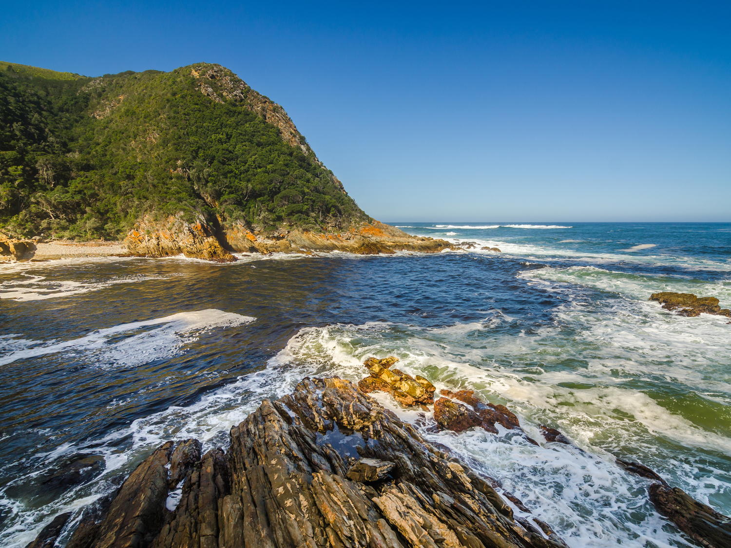 Day 8 - Tsitsikamma National Park 
