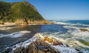 Tsitsikamma National Park - South Africa - On The Go Tours