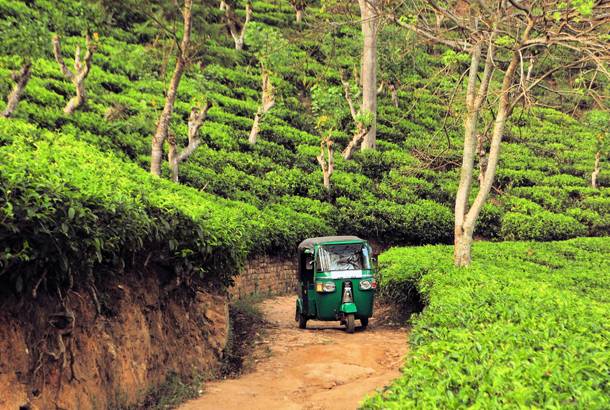 Tuk tuk - Sri Lanka - Top Travel Tips - On The Go Tours