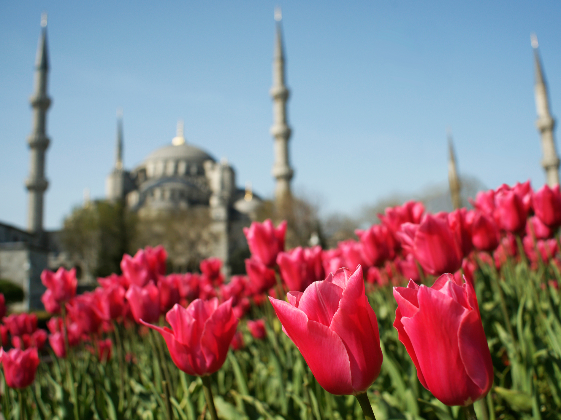 Day 2 - Istanbul City Tour
