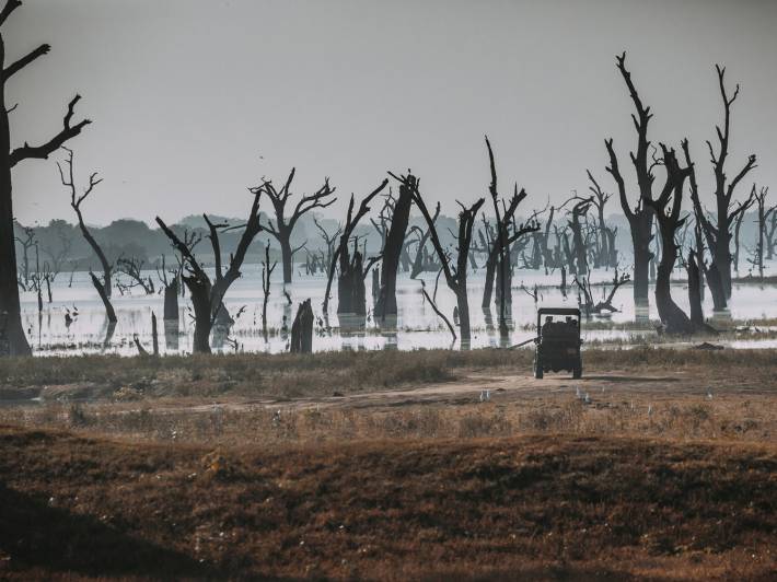 Udawalawe National Park landscape - Sri Lanka - On The Go Tours