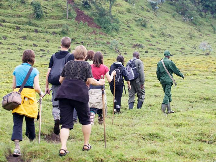 Uganda gorilla trekking