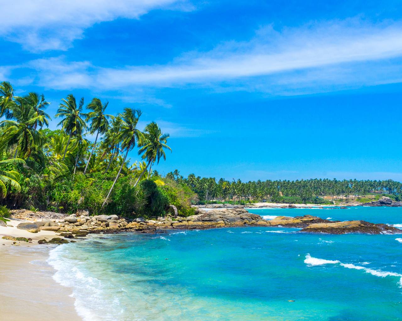 Empirisk rolige kat Best of Sri Lanka & Beach private tour | On The Go Tours | US