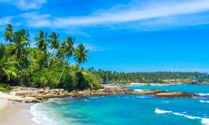 Untouched tropical beach - Sri Lanka Tours - On The Go Tours