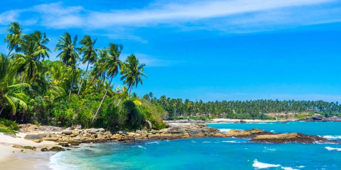 Untouched tropical beach | Sri Lanka