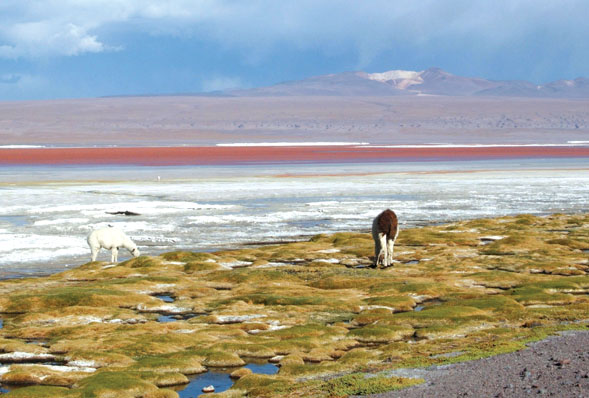 Day 11 - La Paz