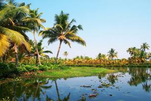 Valiyaparamba Backwaters - On the Go Tours