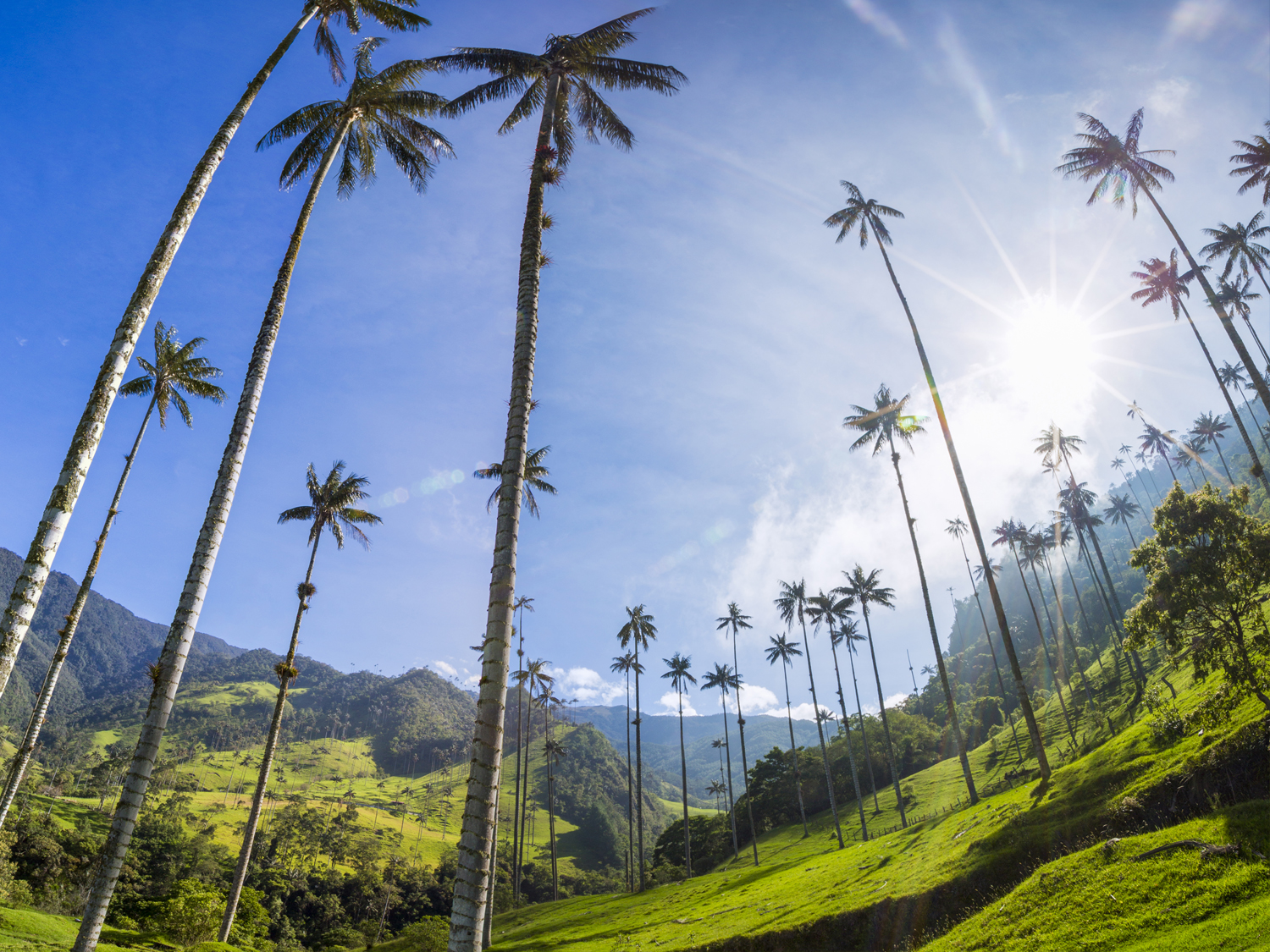 Bogota to Tayrona - 10 days