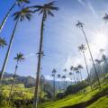 The picturesque Zona Cafetera in Colombia with coffee plantations and rolling hills