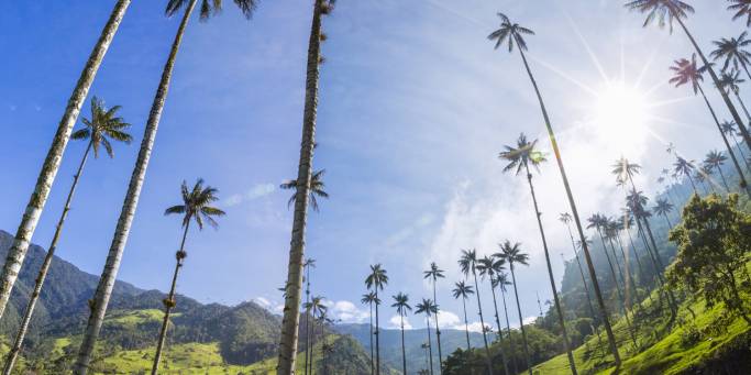 Cocora Valley | Colombia | South America
