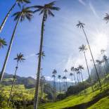 Cocora Valley | Colombia | South America