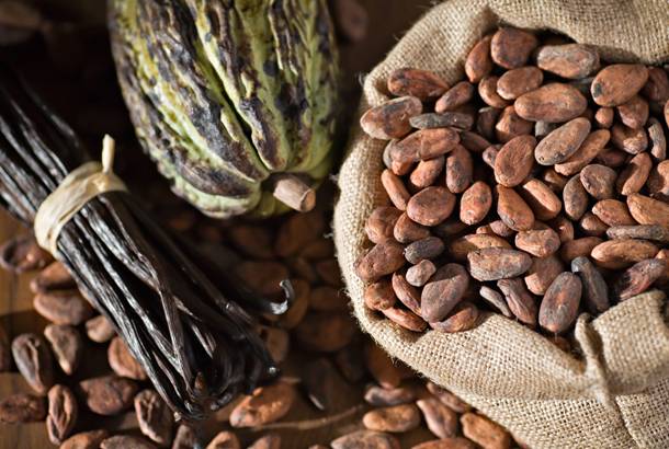 Vanilla beans and pod - Madagascar - On The Go Tours
