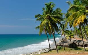 Varkala beach - India - On The Go Tours