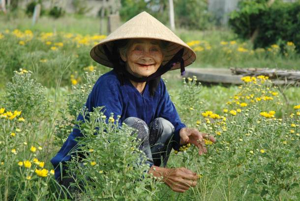 Very-Vietnam-Itinerary-3-Hoi An-Vietnam