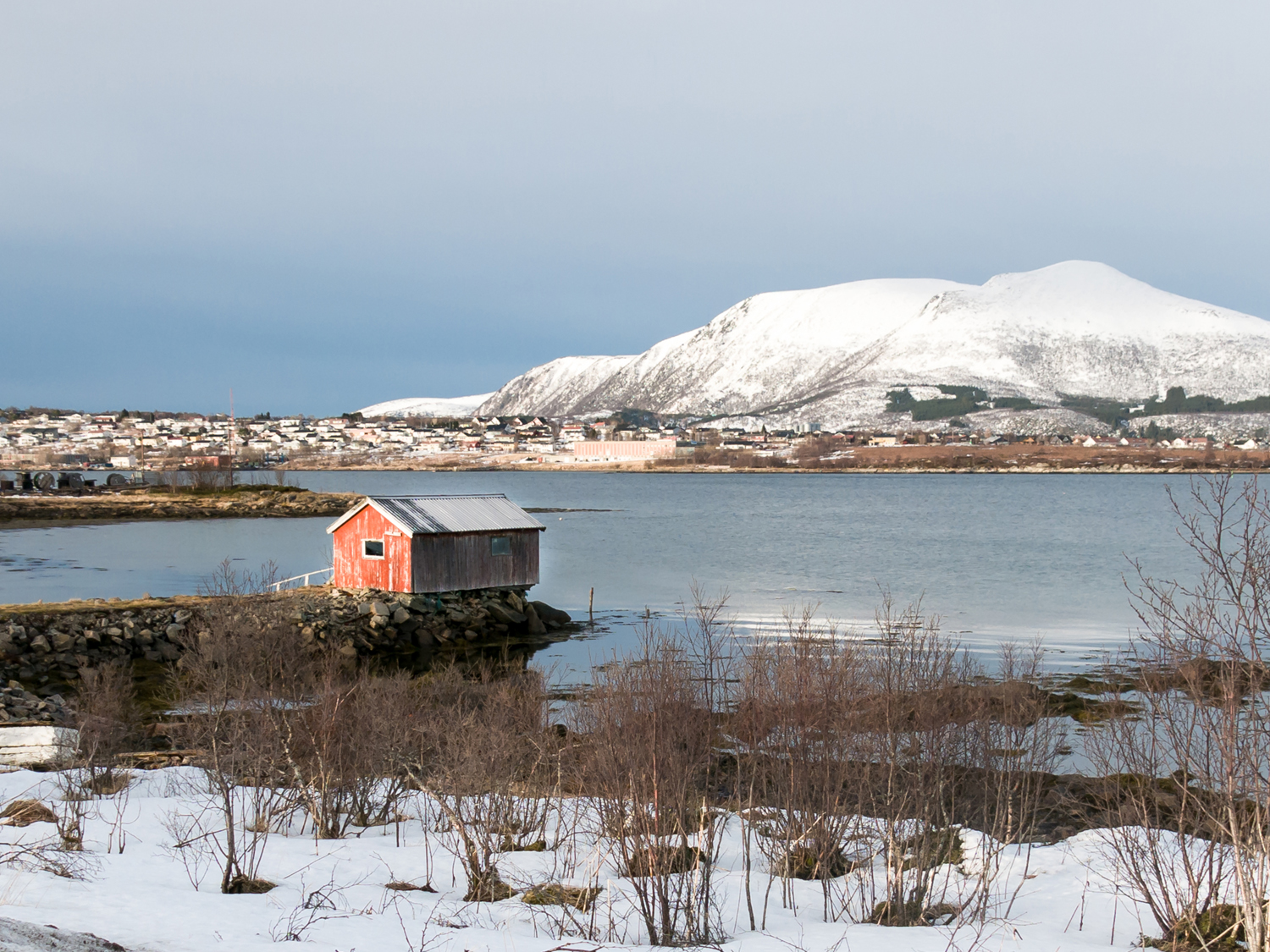 Day 5 - Stokmarknes