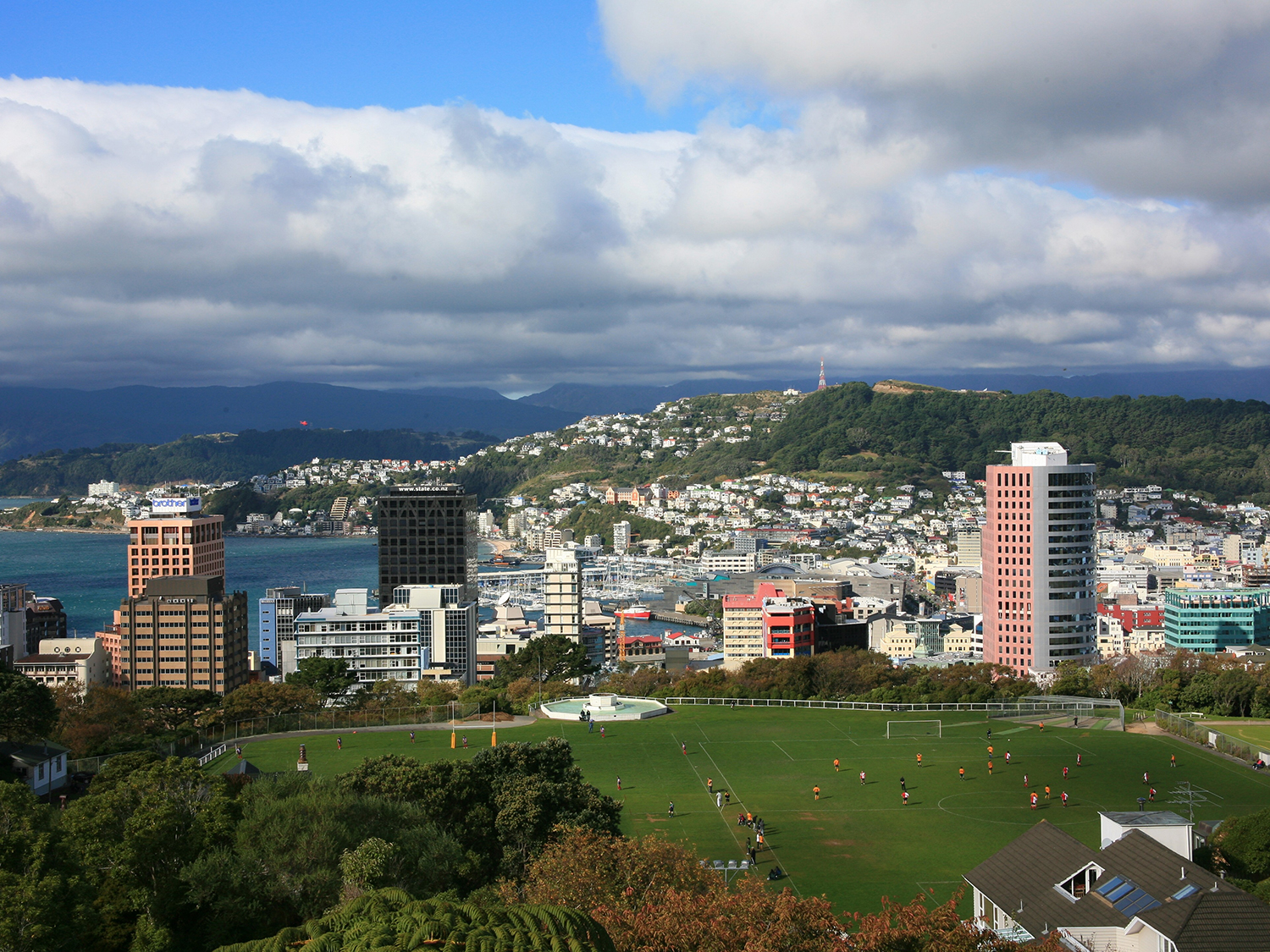 Day 10 - Napier