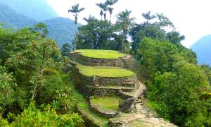 View of the Lost City - Colombia Tours – On The Go Tours